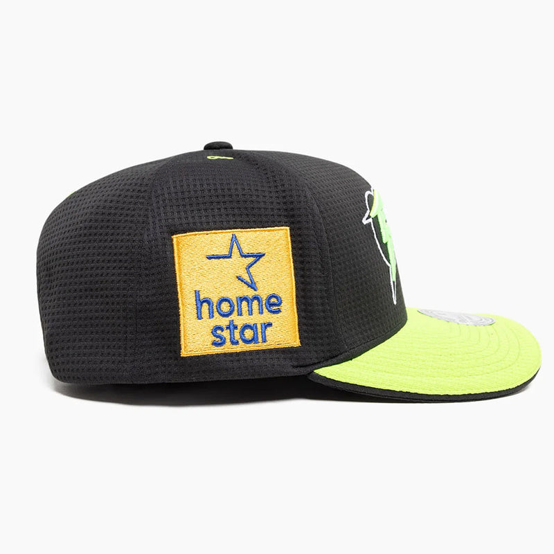 Sydney Thunder Official Adult On Field Lo Pro Snapback Cap Cricket Big Bash League BBL By Mitchell & Ness - new