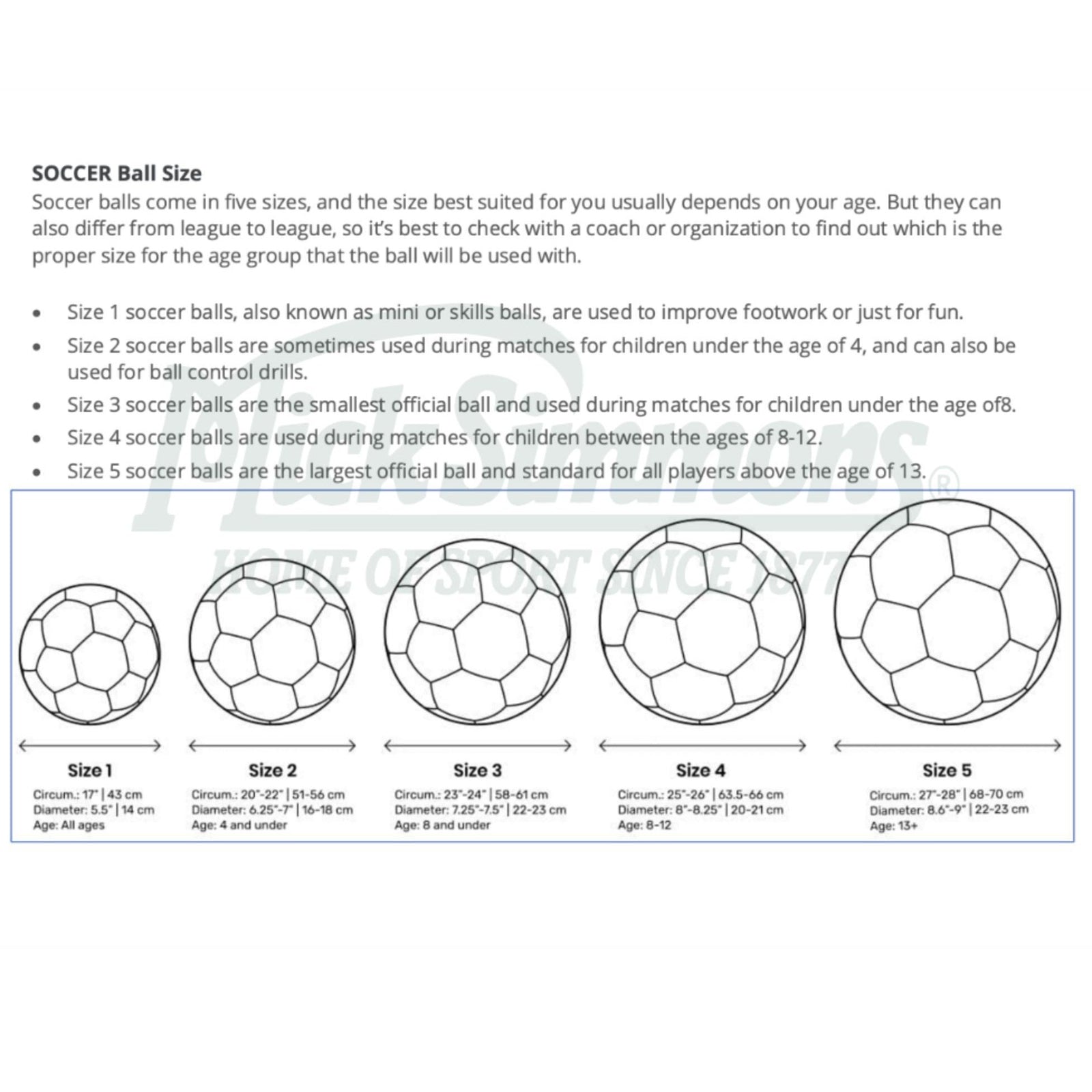 Australia Official Matildas Signature Ball 12 Panels Football (Soccer ...